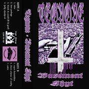 Basement shyt cover image cdn