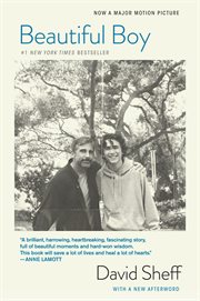 Beautiful boy : a father's journey through his son's addiction cover image cdn