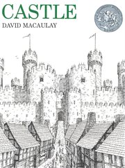 Castle cover image cdn