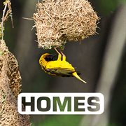 Homes cover image cdn