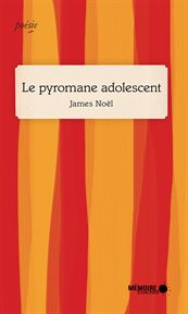 Le pyromane adolescent : suivi de Le sang visible du vitrier cover image cdn
