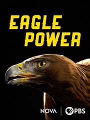 Eagle power cover image cdn