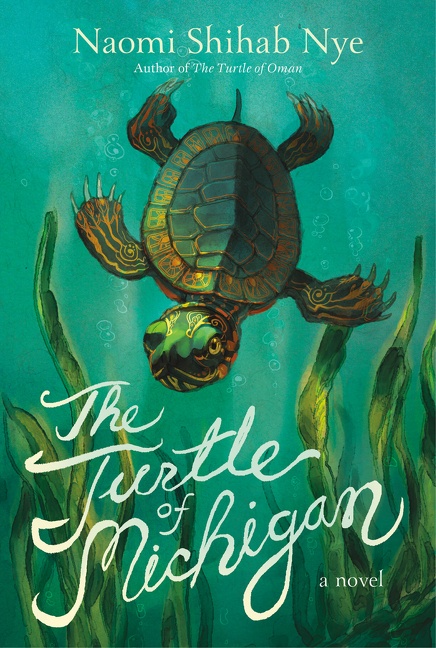 The Turtle of Michigan cover image cdn