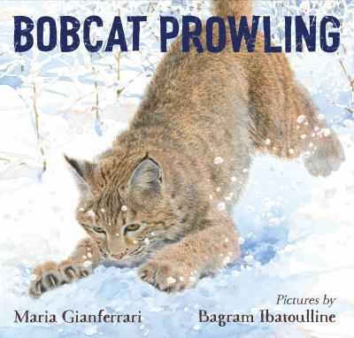 Bobcat prowling  cover image cdn