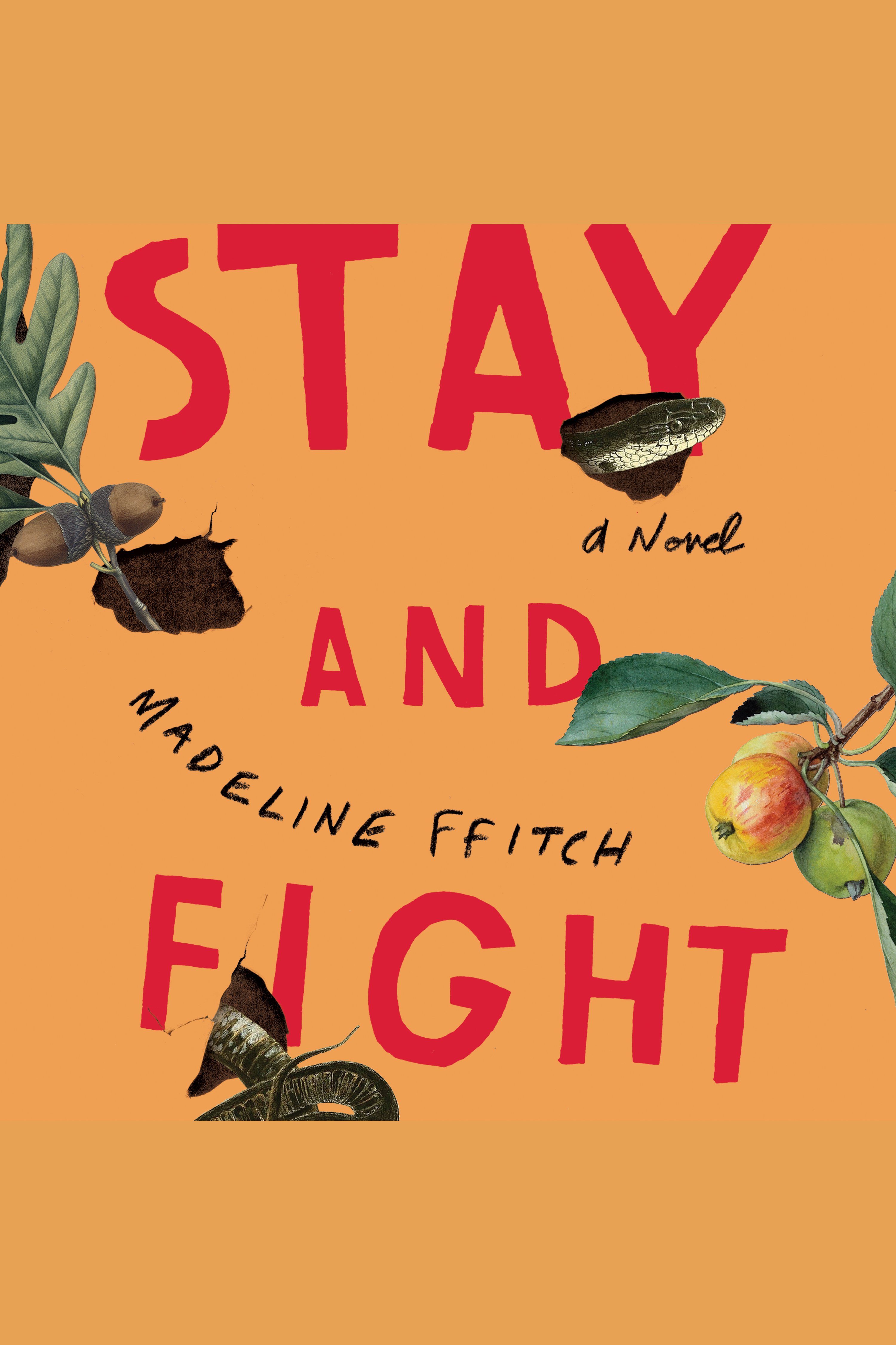 Stay and Fight cover image cdn