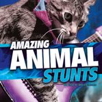 Amazing animal stunts cover image cdn