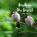 Birds in the forest cover image cdn