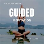 Gudided meditation 30 minutes for healing cover image cdn