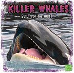 Killer whales : built for the hunt cover image cdn