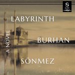 Labyrinth cover image cdn