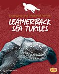 Leatherback sea turtles cover image cdn