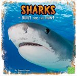 Sharks. Built for the Hunt cover image cdn