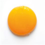 El oripandó cover image cdn