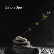 Salon spa cover image cdn