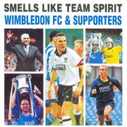 Smells like team spirit cover image cdn