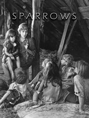 Sparrows cover image cdn