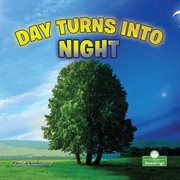 Day turns into night cover image cdn