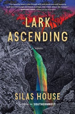 Lark ascending  cover image cdn