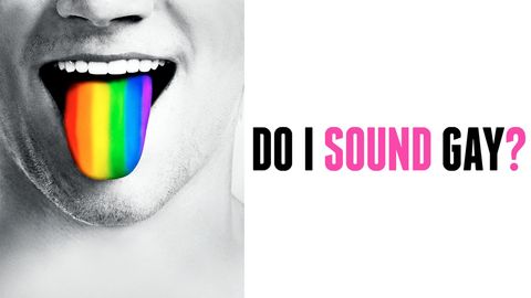 Do I Sound Gay? cover image cdn