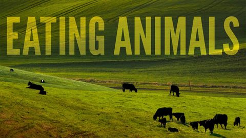 Eating Animals cover image cdn