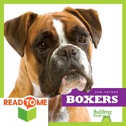 Boxers cover image cdn