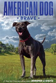 Brave cover image cdn