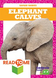 Elephant calves cover image cdn