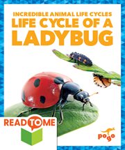 Life cycle of a ladybug cover image cdn