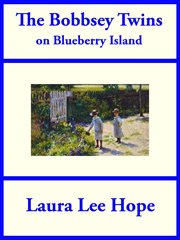 The Bobbsey twins on Blueberry Island cover image cdn