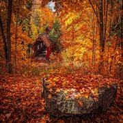 Autumn cover image cdn