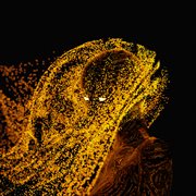 Chroma cover image cdn