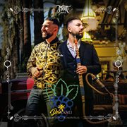 Delikanlı [traubeminztrumentals] cover image cdn