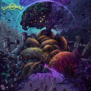 Enlightenment cover image cdn