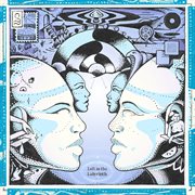 Left in the labyrinth cover image cdn