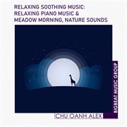Relaxing soothing music: relaxing piano music & meadow morning, nature sounds cover image cdn