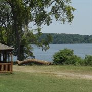 Rise cover image cdn