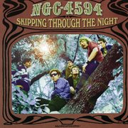 Skipping through the night cover image cdn