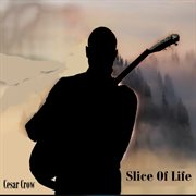 Slice of life cover image cdn