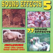 Sound effects 5 cover image cdn