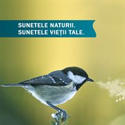 Sunetele naturii. sunetele vieții tale cover image cdn