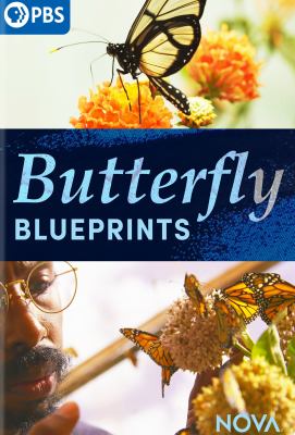 Butterfly blueprints cover image cdn
