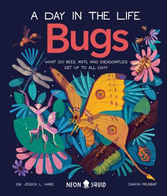 Bugs : what do bees, ants, and dragonflies get up to all day?  cover image cdn