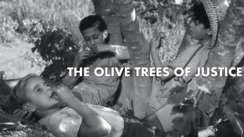 Olive Trees of Justice cover image cdn
