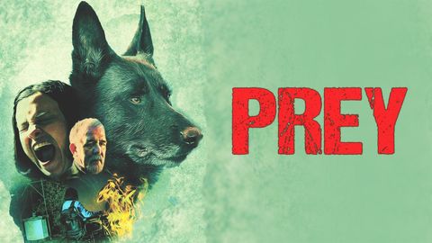 Prey cover image cdn