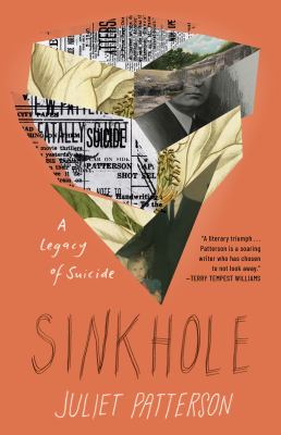 Sinkhole : a legacy of a suicide  cover image cdn