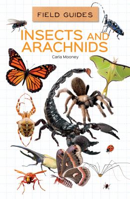 Insects and arachnids  cover image cdn