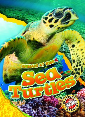 Sea turtles  cover image cdn