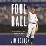 Foul ball : my life and hard times trying to save an old ballpark cover image cdn
