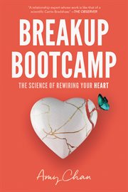 Break up bootcamp cover image cdn