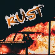 Aggravated culture cover image cdn